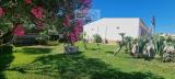 Casa, AVOLA, 280.000 €, 200,00 mq