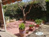 Casa, AMEGLIA, 330.000 €, 139,00 mq