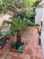 Appartamento, CAGLIARI, 196.000 €, 96,00 mq