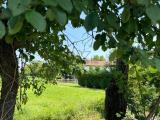 Casa, CASTELFRANCO VENETO, 120.000 €, 340,00 mq