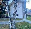 Appartamento, COURMAYEUR, 380.000 €, 41,00 mq