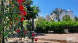 Casa, CISTERNINO, 370.000 €, 193,00 mq