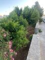 Casa, SANTA CESAREA TERME, 295.000 €, 140,00 mq