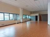 Superfici commerciali, SAN GIULIANO MILANESE, 154.000 €, 178,00 mq