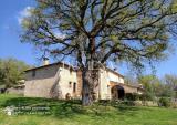 Casa, MONTERIGGIONI, 1.130.000 €, 400,00 mq