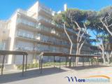 Appartamento, GROSSETO, 187.000 €, 42,00 mq