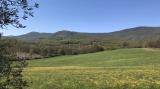Casa, NARNI, 730.000 €, 400,00 mq