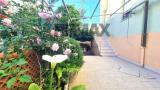Appartamento, CECINA, 220.000 €, 100,00 mq
