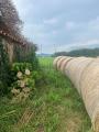 Casa, MONSELICE, 105.000 €, 283,00 mq