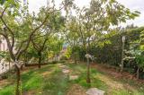 Casa, CARMIGNANO, 399.000 €, 128,00 mq