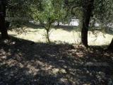 Appartamento, FUCECCHIO, 150.000 €, 85,00 mq