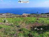 Casa, PANTELLERIA, 110.000 €, 50,00 mq