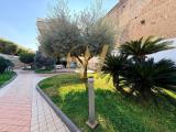 Appartamento, CASAGIOVE, 119.000 €, 74,00 mq