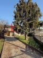 Casa, GAMBELLARA, 270.000 €, 190,00 mq