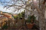 Casa, CAPALBIO, 480.000 €, 110,00 mq