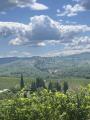 Appartamento, GREVE IN CHIANTI, 360.000 €, 208,00 mq