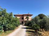 Casa, PANICALE, 500.000 €, 250,00 mq