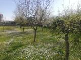 Appartamento, CAMPOFORMIDO, 228.000 €, 120,00 mq