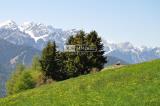 Appartamento, DOBBIACO - TOBLACH, 620.000 €, 251,00 mq