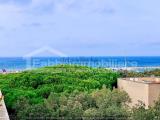 Appartamento, CASTIGLIONE DELLA PESCAIA, 350.000 €, 80,00 mq