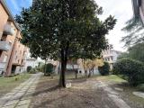 Appartamento, PADOVA, Bassanello, 219.000 €, 170,00 mq