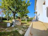 Casa, DALMINE, 239.000 €, 196,00 mq