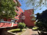 Appartamento, FIDENZA, 142.000 €, 65,00 mq