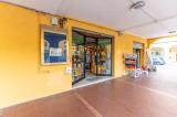 Superfici commerciali, SAN PIETRO IN CASALE, 240.000 €, 80,00 mq