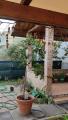 Casa, PESCARA, 130.000 €, 95,00 mq