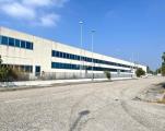 Superfici commerciali, SAN PIETRO VIMINARIO, 5.900.000 €, 6000,00 mq