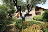 Casa, CAPRIOLO, 459.000 €, 322,00 mq