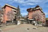 Appartamento, SEGRATE, 198.000 €, 54,00 mq