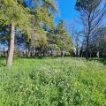 Casa, FORLI, 230.000 €, 300,00 mq