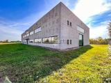 Superfici commerciali, CHIGNOLO PO, 1.350.000 €, 1300,00 mq