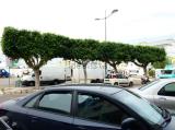 Superfici commerciali, POLICORO, 110.000 €, 100,00 mq