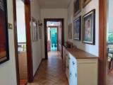 Appartamento, TREVISO, 124.000 €, 109,00 mq
