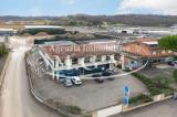 Superfici commerciali, CALCINAIA, 545.000 €, 1100,00 mq