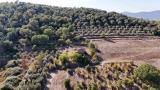 Casa, MARSCIANO, 85.000 €, 122,00 mq