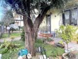 Appartamento, FORLIMPOPOLI, 198.000 €, 110,00 mq