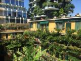 Appartamento, MILANO, Isola, 390.000 €, 65,00 mq