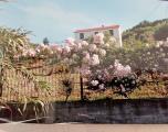 Casa, SAVONA, 370.000 €, 115,00 mq