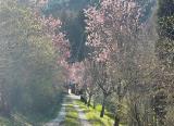 Casa, SAN CASCIANO IN VAL DI PESA, 960.000 €, 300,00 mq
