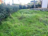 Casa, CAMAIORE, 1.100.000 €, 200,00 mq