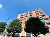 Appartamento, SEGRATE, 178.000 €, 73,00 mq