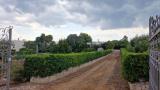 Casa, OSTUNI, 290.000 €, 126,00 mq
