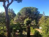 Casa, GROSSETO, Principina a Mare, 295.000 €, 82,00 mq