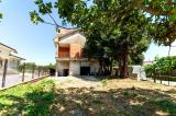 Casa, PALESTRINA, 195.000 €, 170,00 mq
