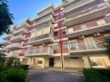 Appartamento, BARI, Japigia, 310.000 €, 146,00 mq