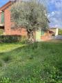 Appartamento, TERRICCIOLA, 195.000 €, 110,00 mq