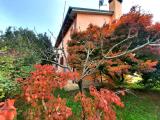 Casa, CASTELFRANCO VENETO, 330.000 €, 250,00 mq
